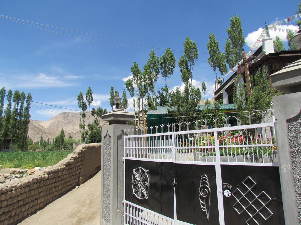 Ashoka Ladakh Hotell Leh Eksteriør bilde