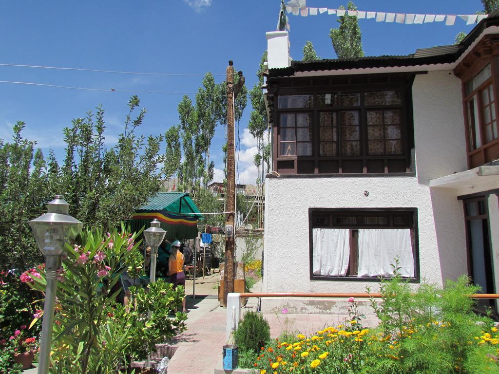 Ashoka Ladakh Hotell Leh Eksteriør bilde