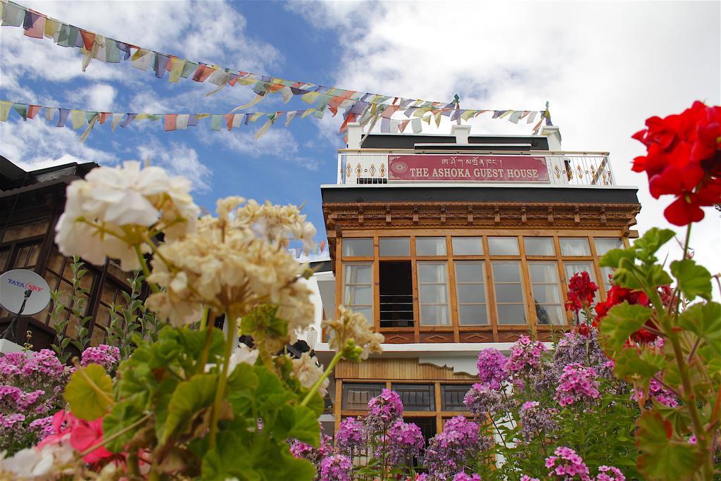 Ashoka Ladakh Hotell Leh Eksteriør bilde